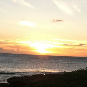 Meet your Posher, Eileen